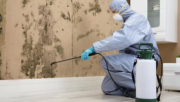 24-hour pest control service for university emergencies