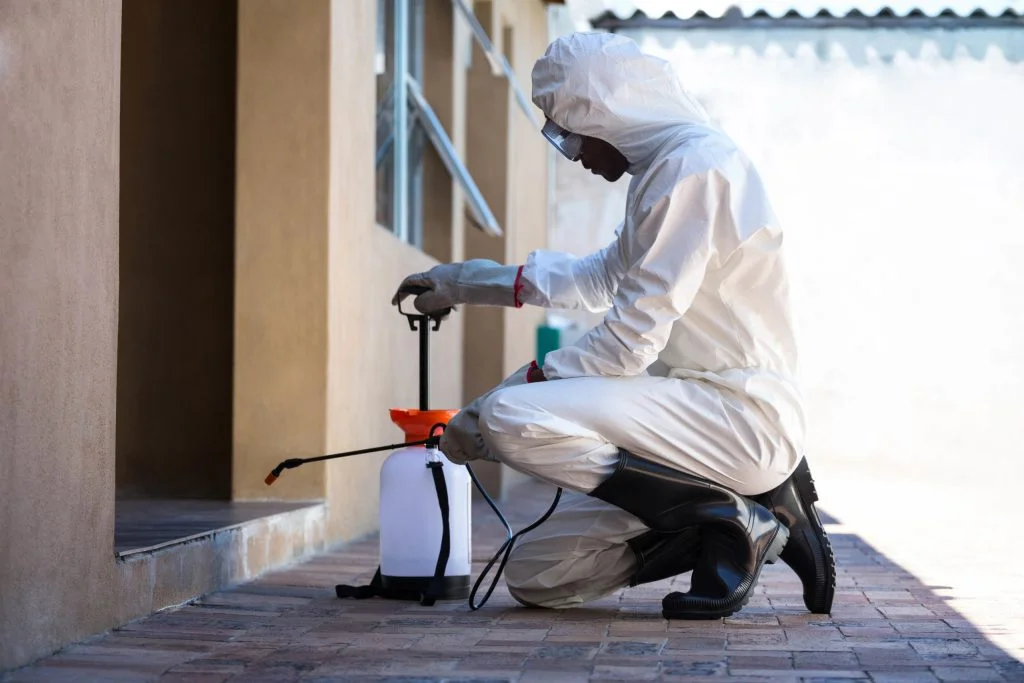24-hour pest control service in transit corridor