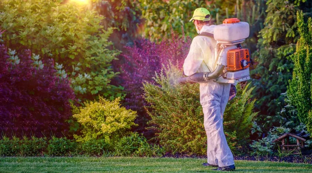Integrated pest management near transit infrastructure