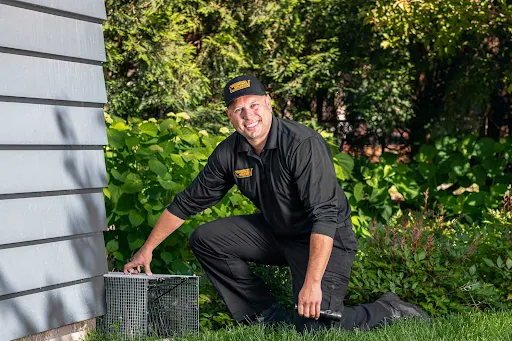 IPM specialist implementing comprehensive fly management strategy