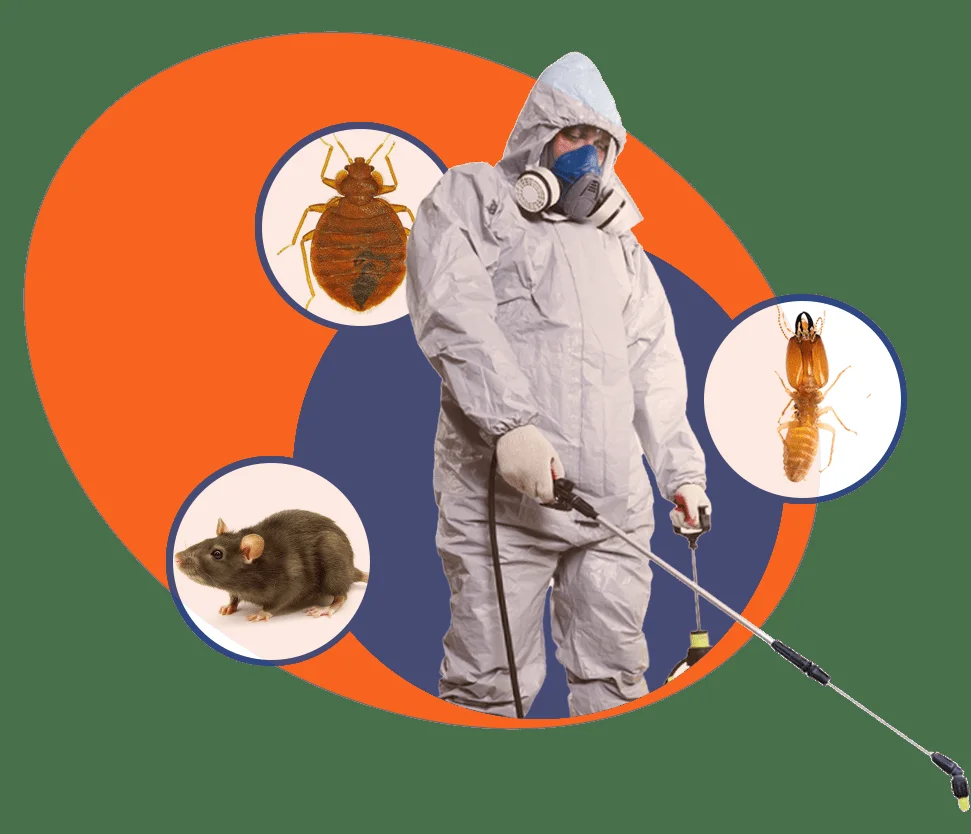 Commercial pest control technician inspecting multifamily property