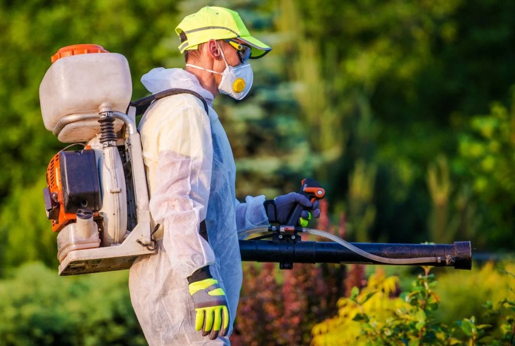 Healthcare facility pest inspection