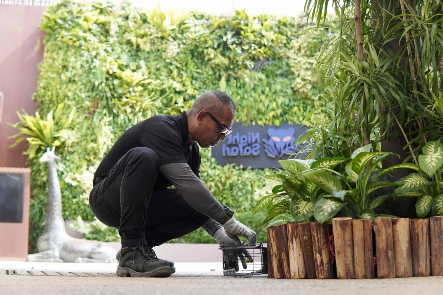 Commercial millipede control service