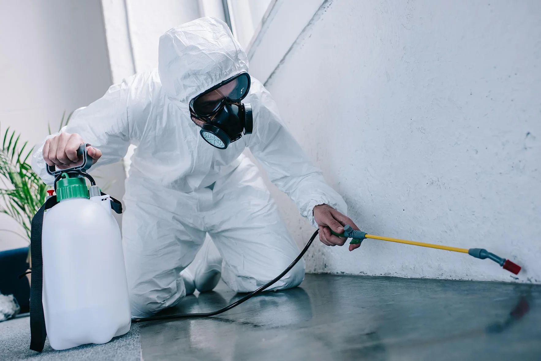 Commercial bird exclusion system installation