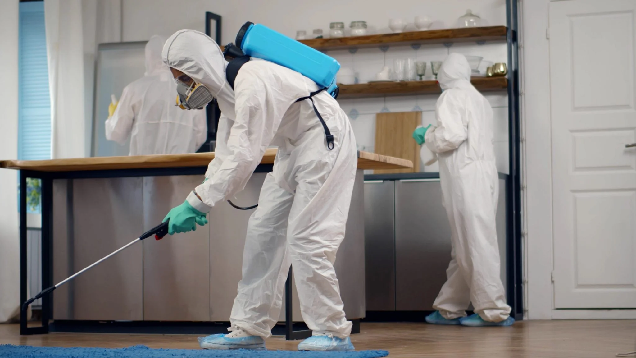 Commercial pest control in Colorado business