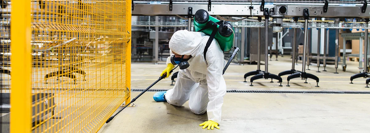 Professional documenting commercial rat control program results