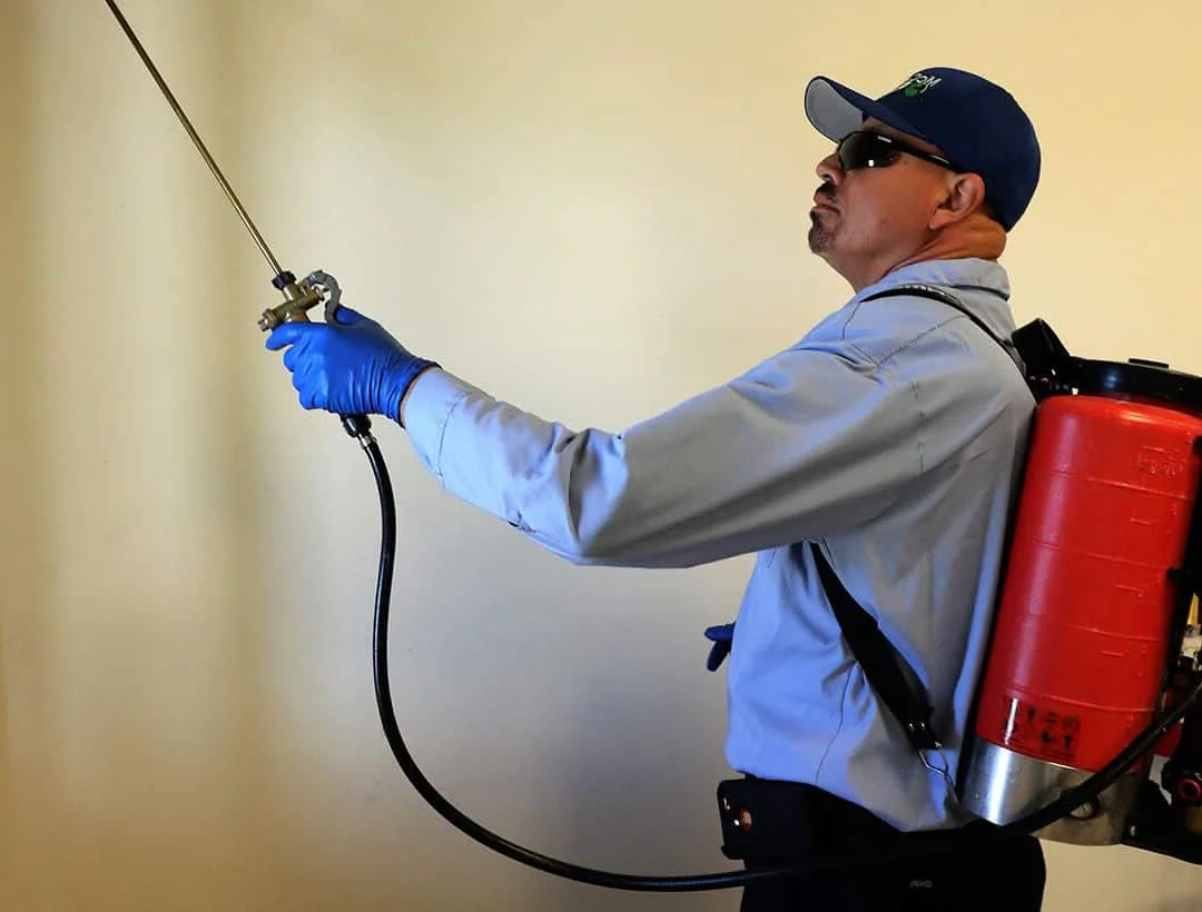 Commercial pest control site assessment