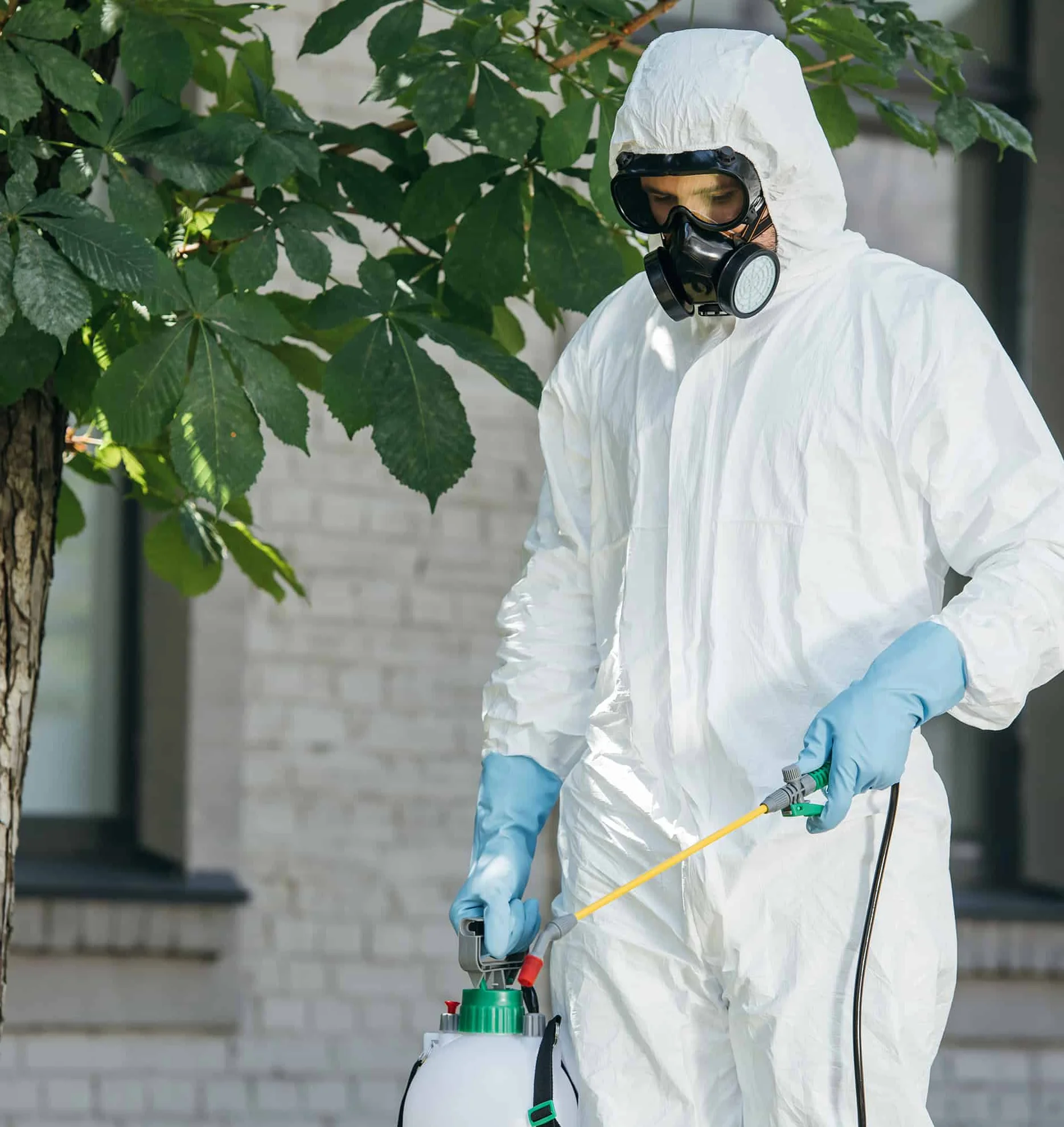 Eco-friendly pest control treatment being applied
