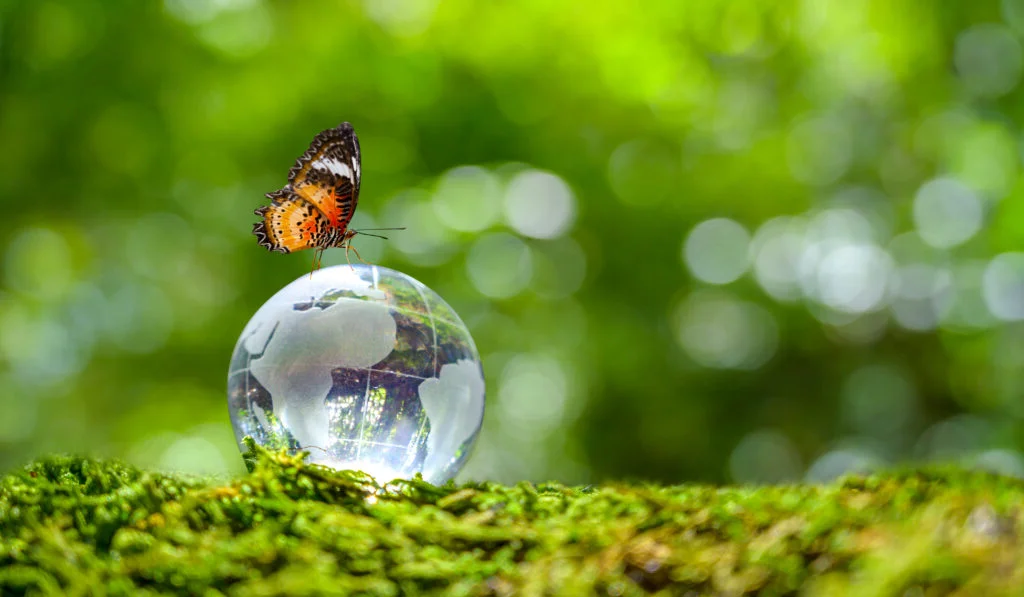 Eco-friendly wildlife control methods
