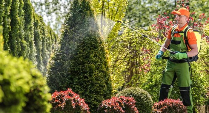 Eco-friendly pest control application in Oregon