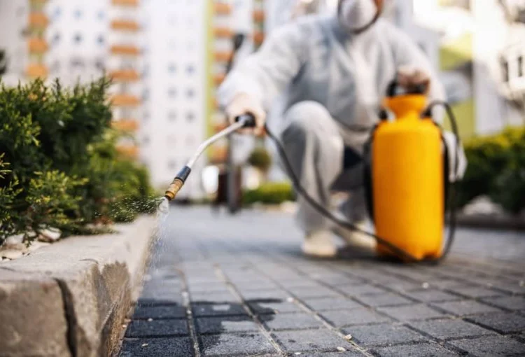 Eco-friendly pest control in Alaska