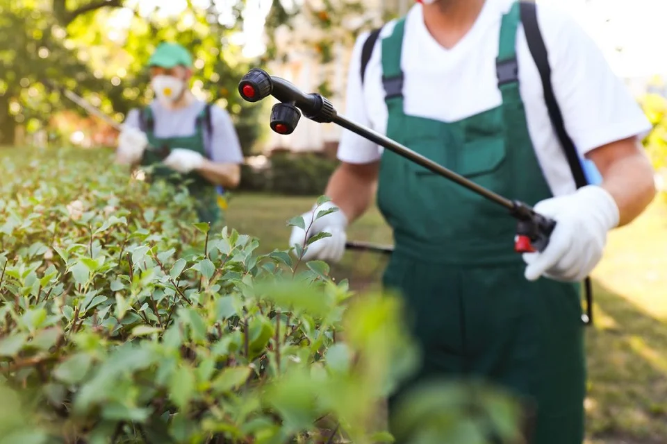 Environmentally responsible pest control in suburban neighborhood