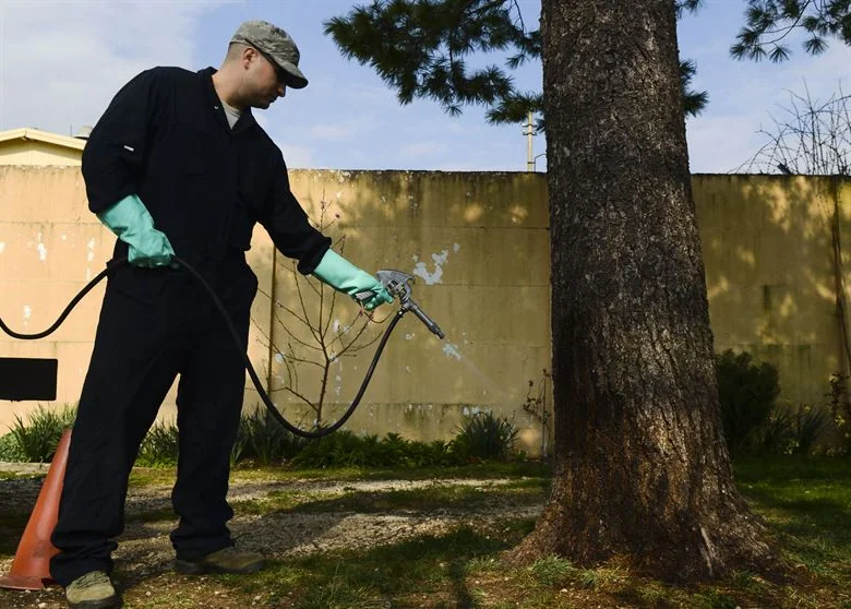 Professional carpenter ant monitoring and inspection program