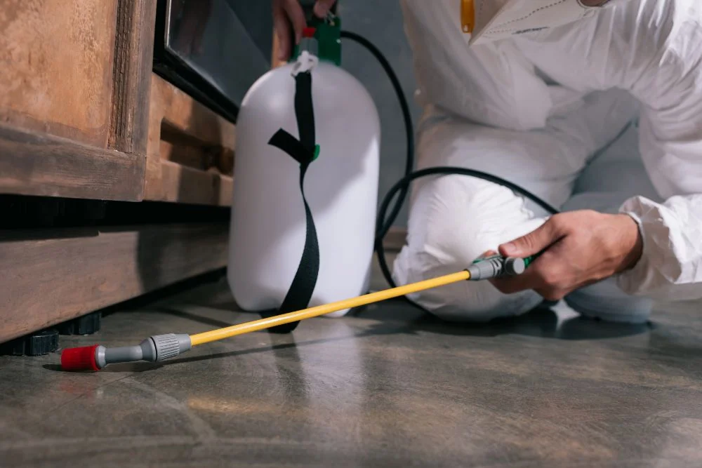 Professional documentation for commercial wasp control