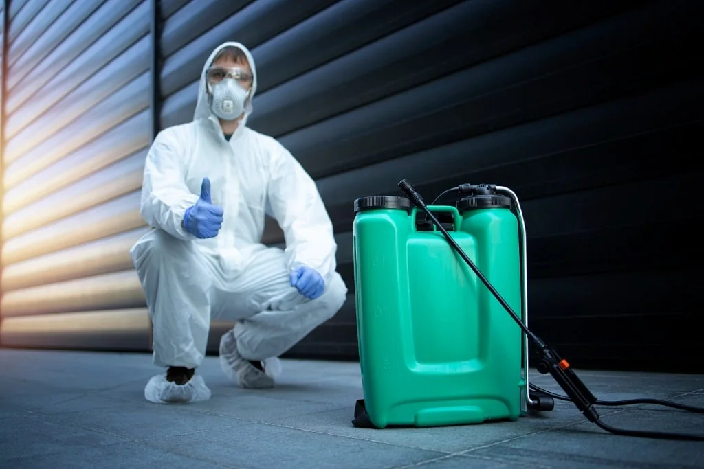 Professional safely removing wasp nest after treatment