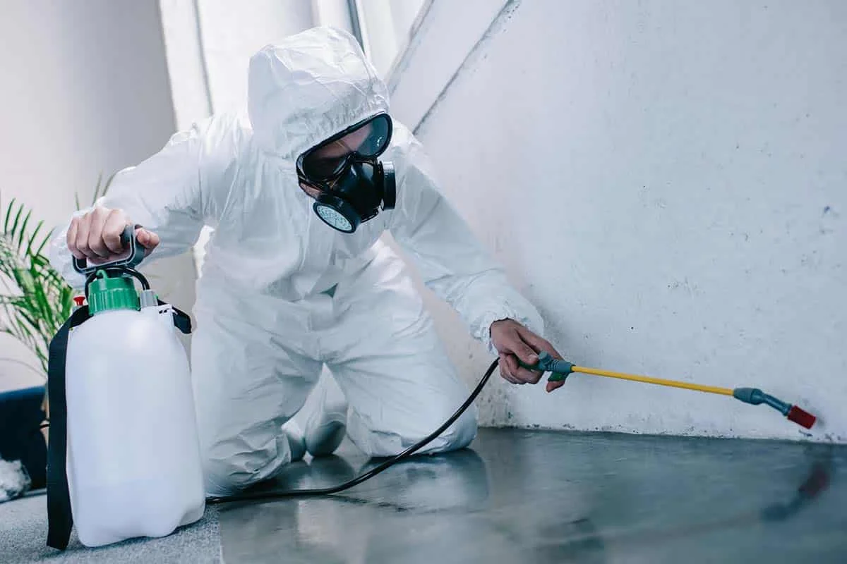 Emergency family-safe pest control response