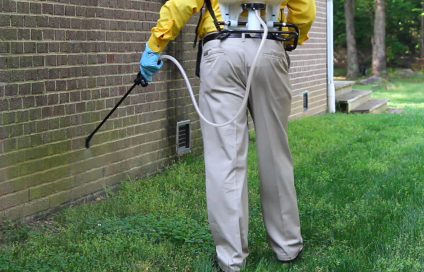 Pest control treatment in Interior Alaska