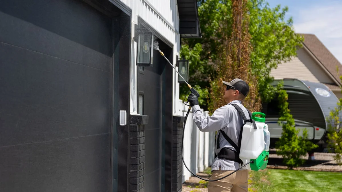 Pest control treatment in Virginia Blue Ridge region
