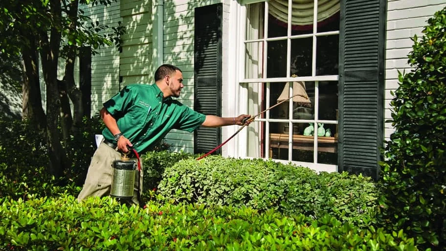Pest control treatment in Coastal Georgia