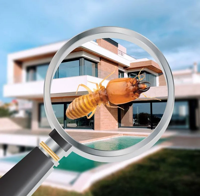 Professional pest inspector examining a home for rodent entry points
