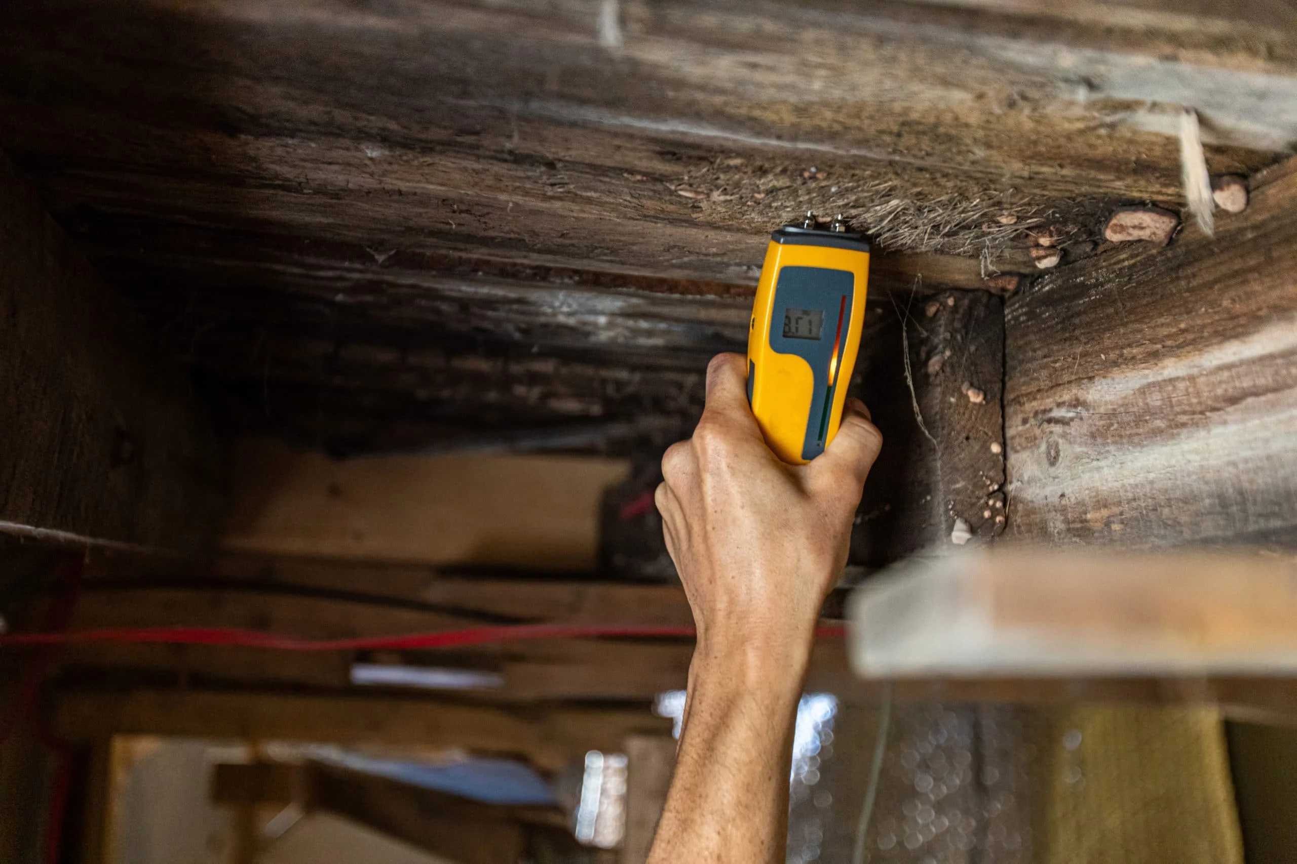 Professional rodent inspection of attic space