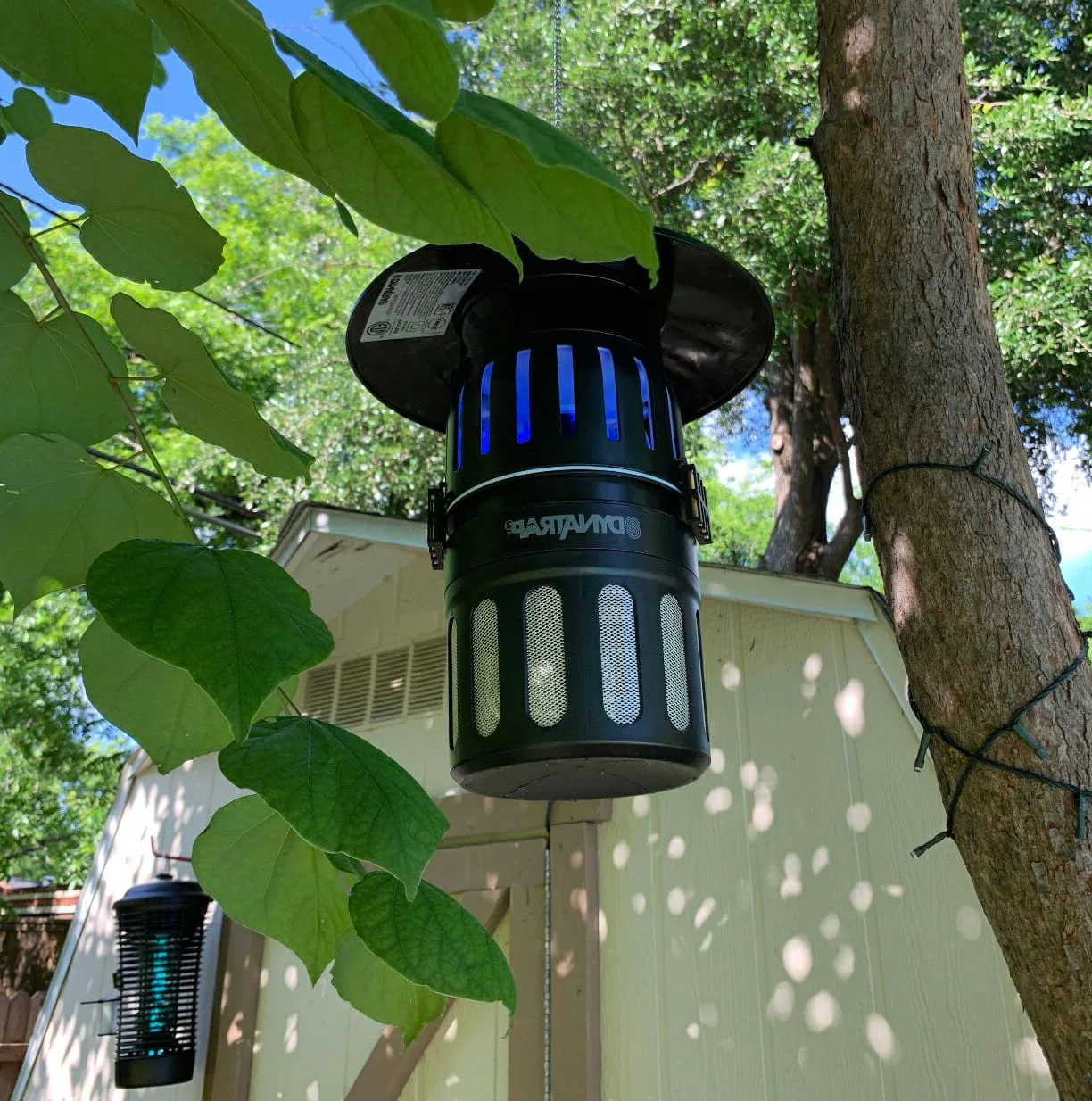 Mosquito control specialist inspecting backyard