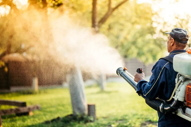 Mosquito control treatment in backyard