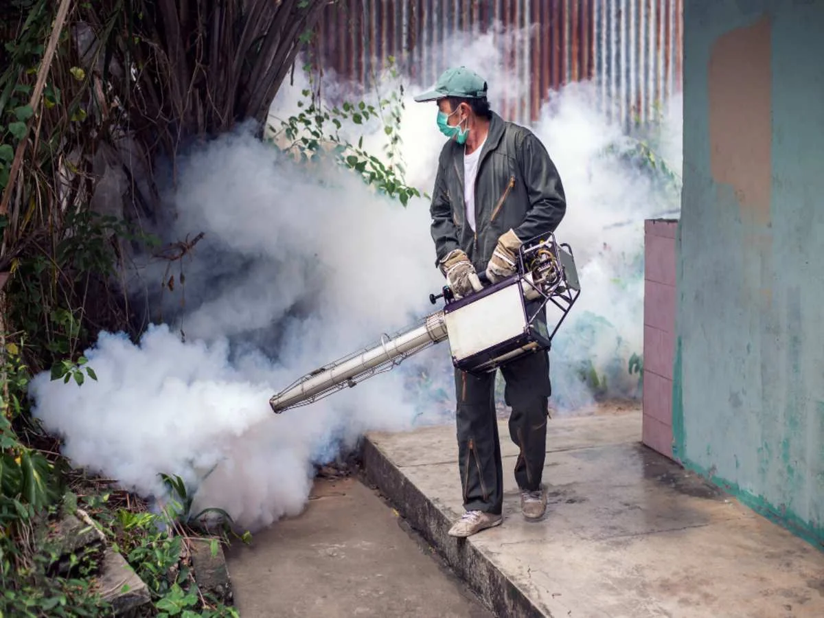 Mosquito control treatment in Georgia backyard