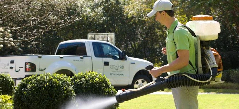 Professional mosquito control application