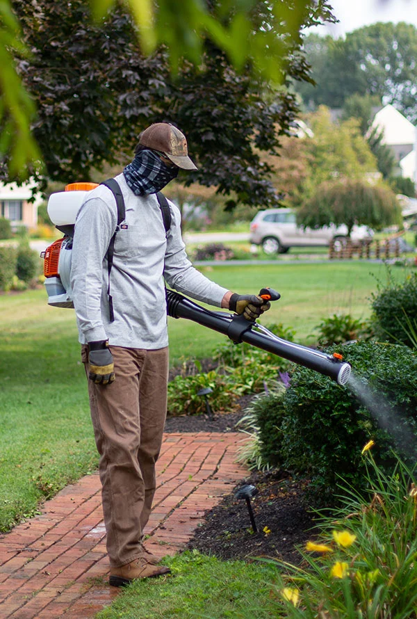 Mosquito control at Delaware beach property