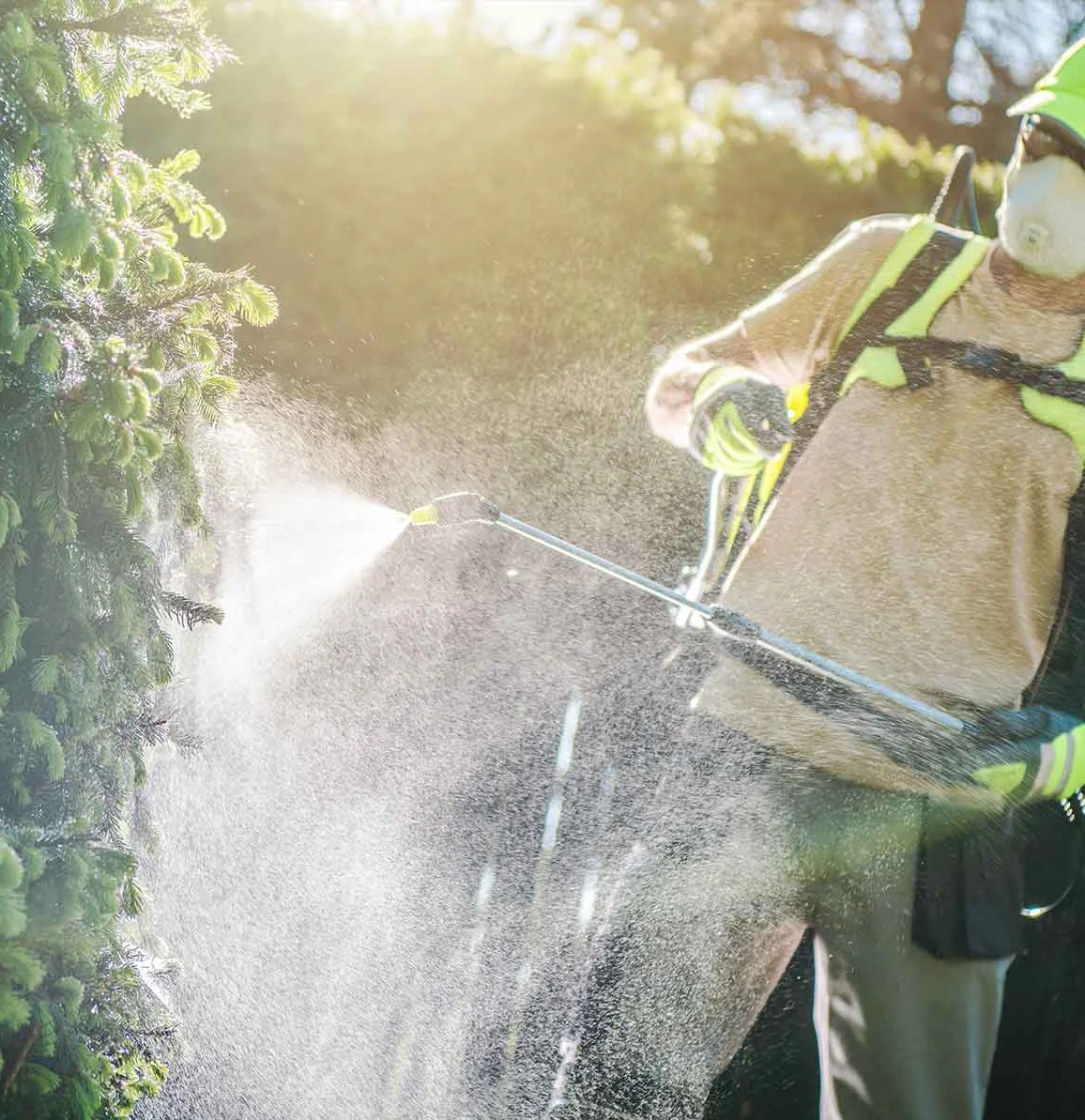 Tick control treatment in New Hampshire yard