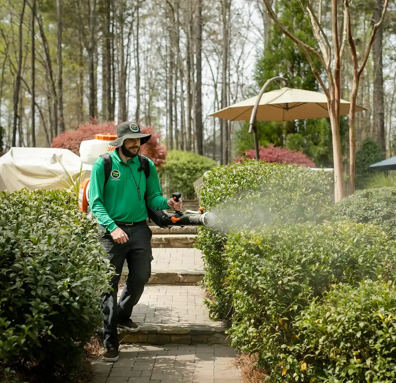 Seasonal mosquito treatment application