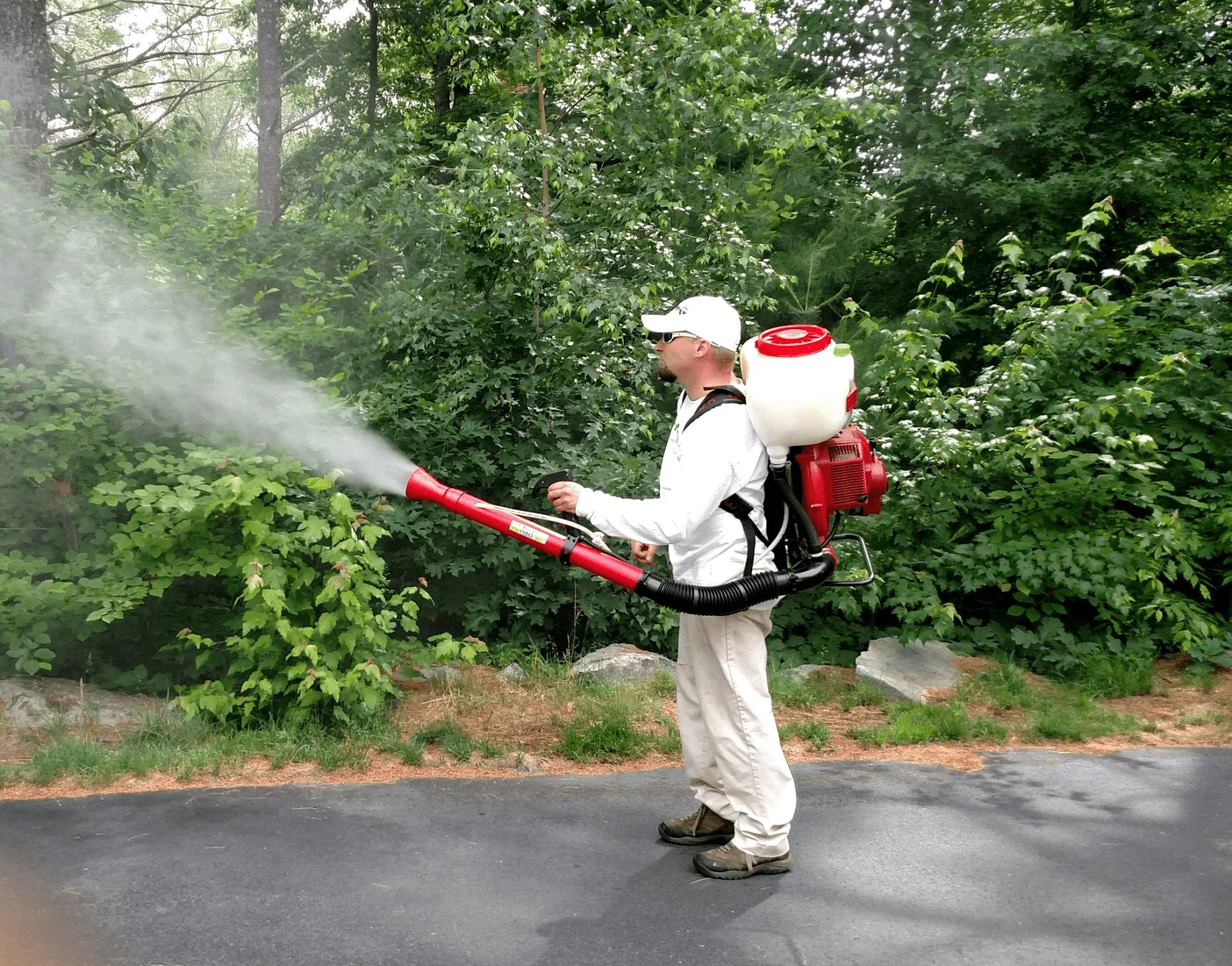 Mosquito control treatment in Missouri yard