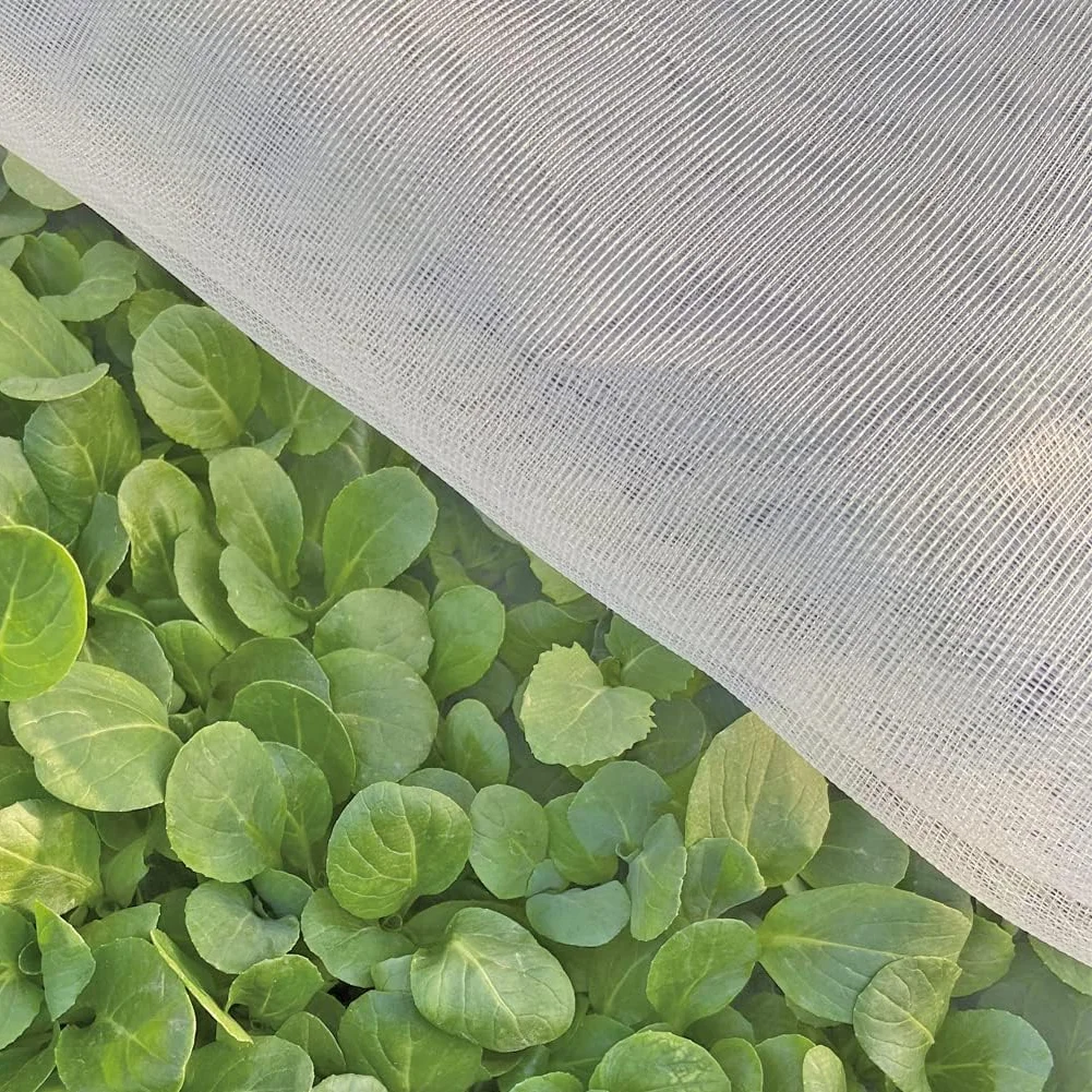 Preventative treatment for overwintering pests in Illinois