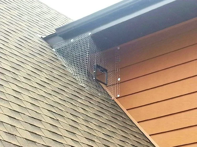 Ant control