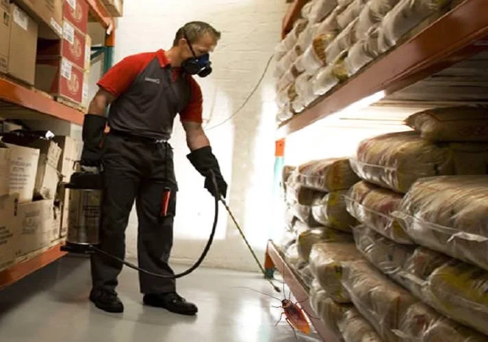 Bird control measures in warehouse high bay areas