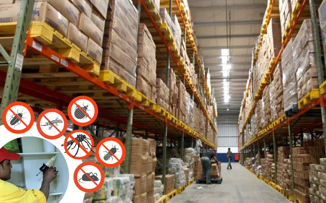 Commercial warehouse dealing with stored product pest contamination