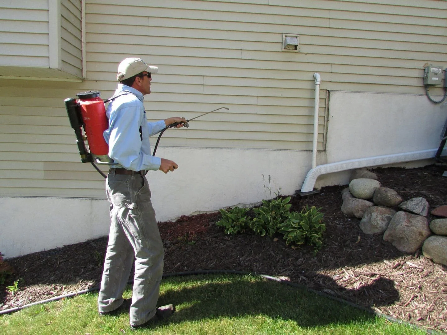 Pest control treatment in Phoenix metropolitan area