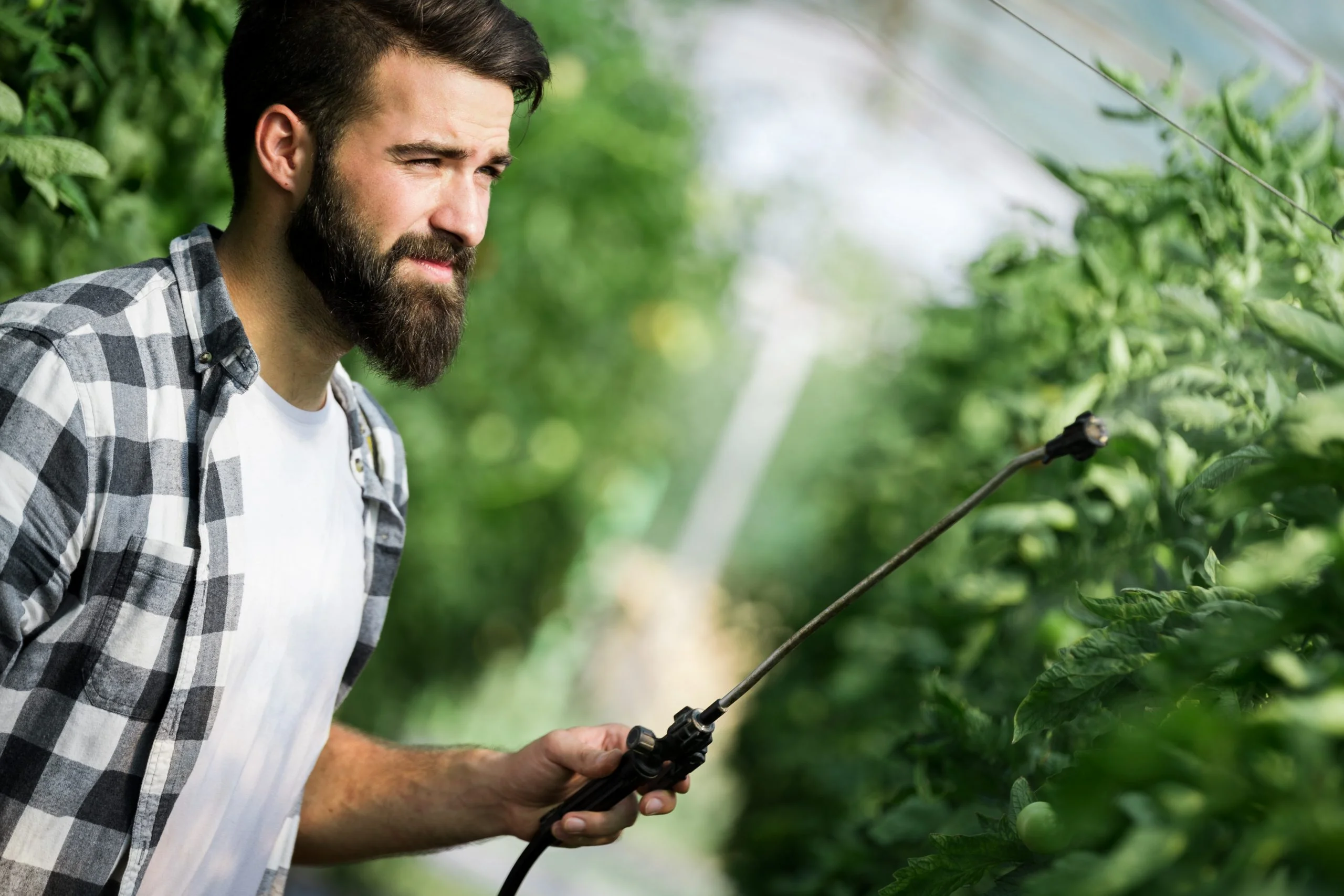 Pest control treatment in South Central Alaska