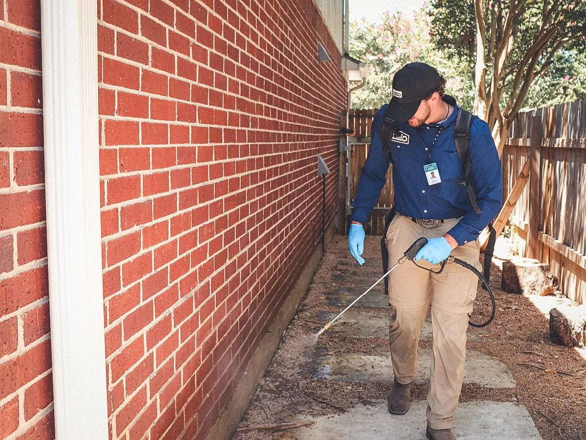 Pest control treatment in Metro Atlanta, Georgia