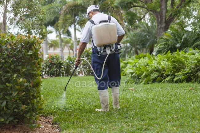 Professional applying targeted silverfish treatment