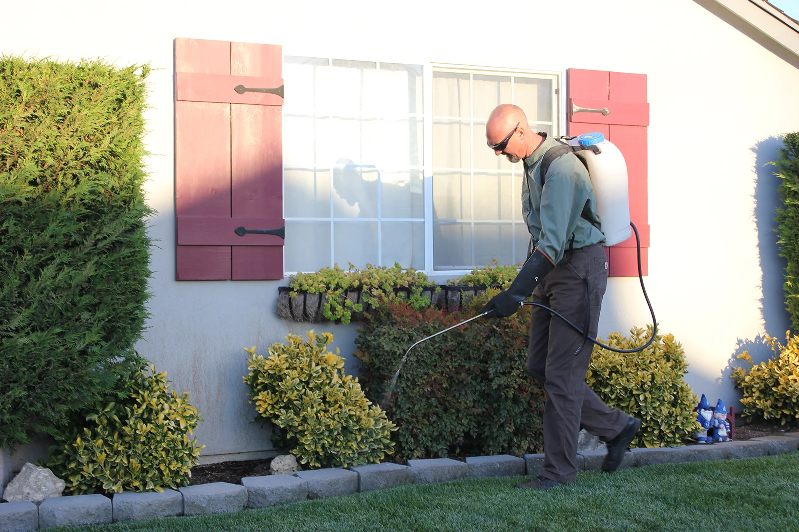 Professional applying advanced fire ant treatment technology