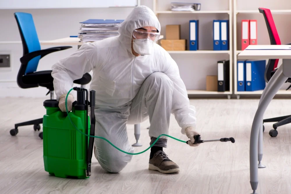 Healthcare facility implementing specialized fly control measures