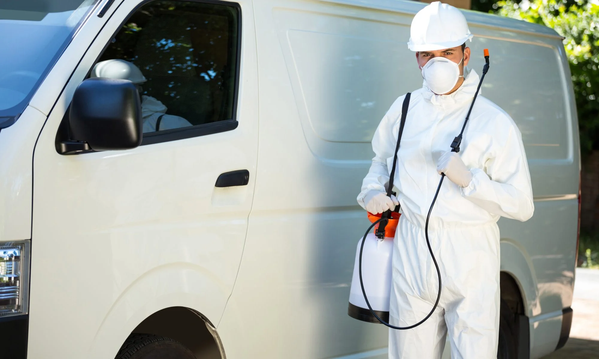 Professional applying ant bait near activity trail