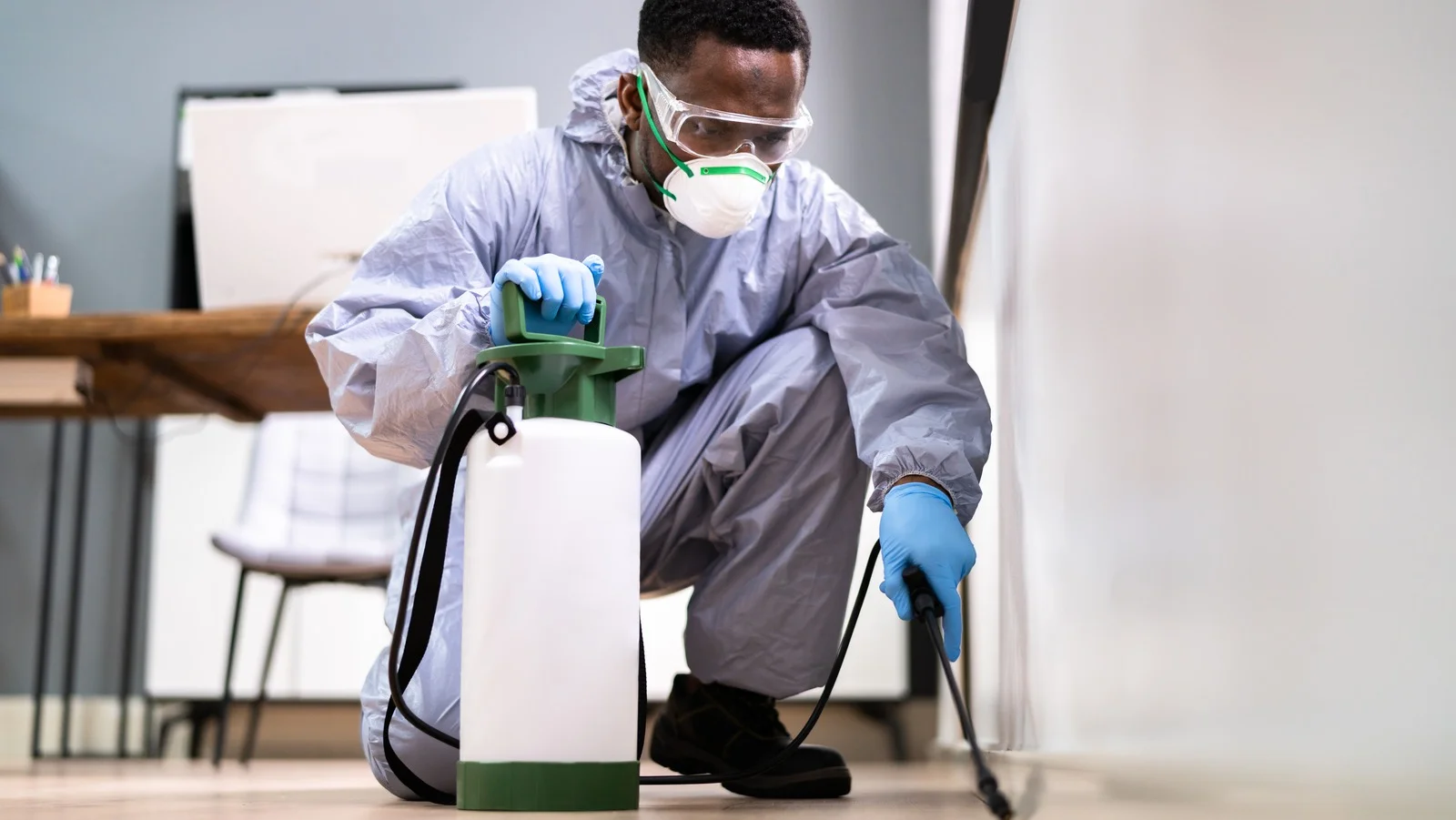 Professional pest control technician at work