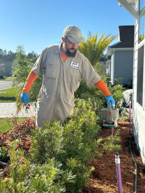 Residential scorpion prevention treatment