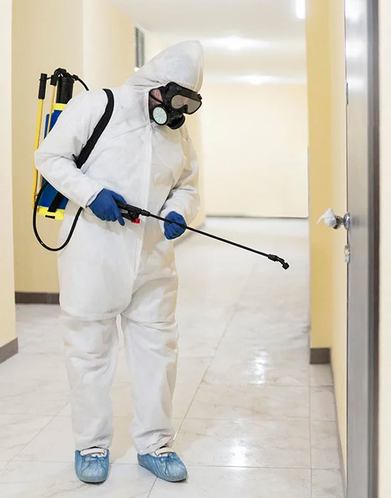 Residential pest control in Alaska home