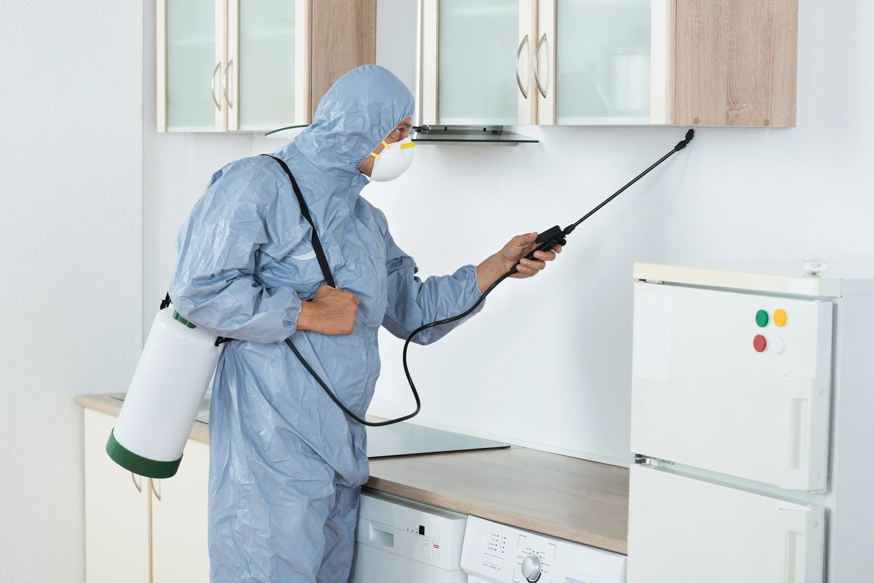 Residential pest control in Illinois home