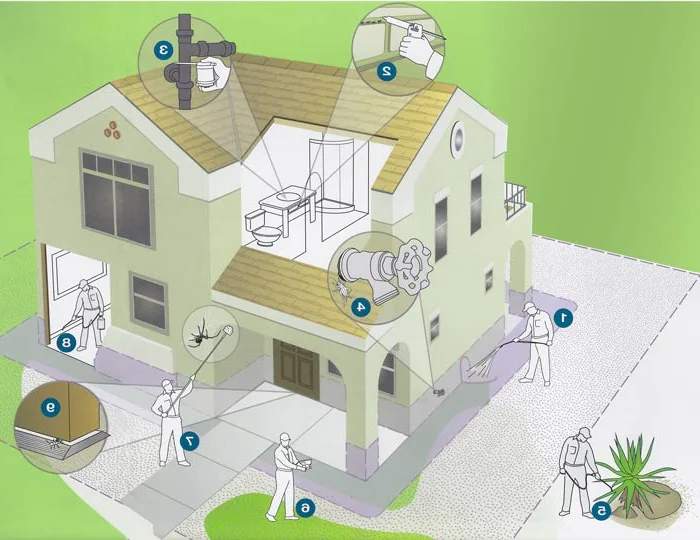 Residential pest control in New Jersey home