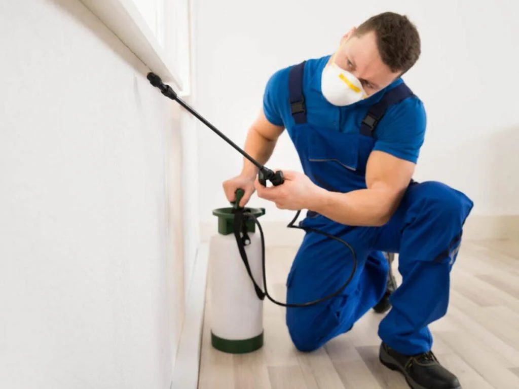 Residential pest control in Georgia home